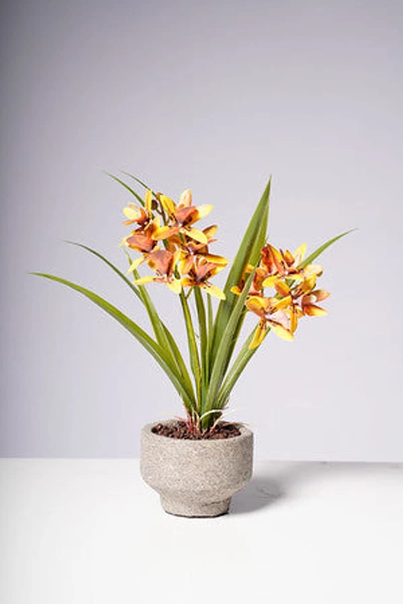 14" ORCHID ORANGE/BROWN