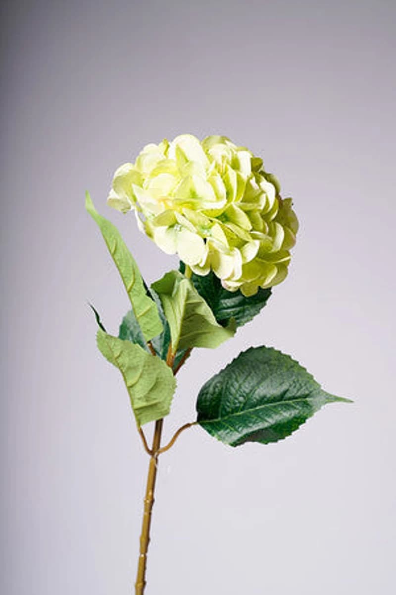 31" HYDRANGEA GREEN