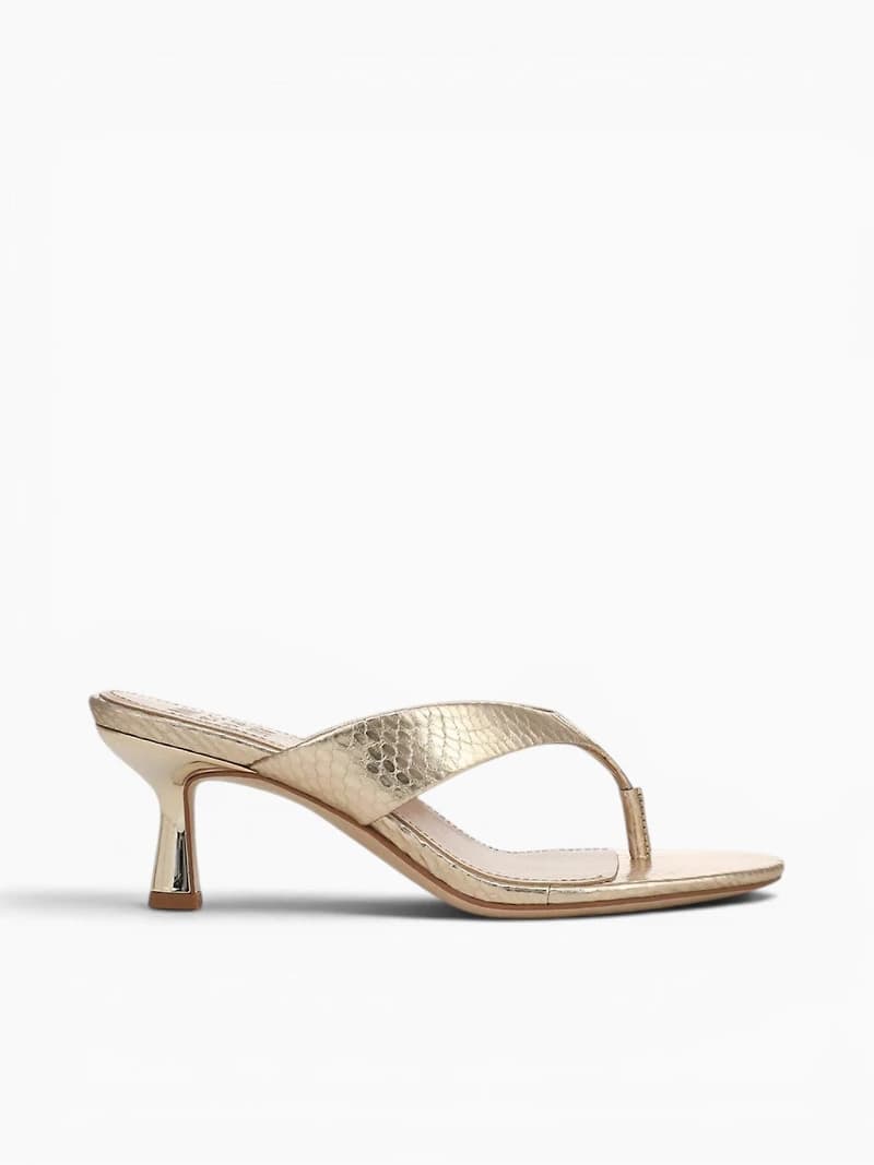 Tressa Champagne Snake